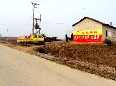 駱駝飼料荊州墻體廣告